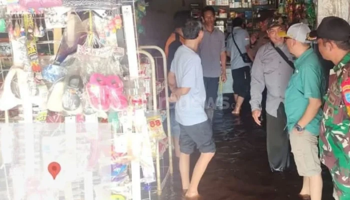 Pulang Pisau Dilanda Banjir, Warga Diminta Waspada Kemunculan Ular dan Buaya