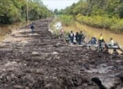 TMMD Reguler Ke 124 Kodim 1012/Buntok Di Desa Talio, Kecamatan Karau Kuala, Capai 53 Persen