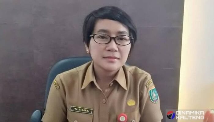 Jalan Rusak Parah di Desa Pararapak, Kadis PUPR Barsel Minta Izin Tangani Sementara